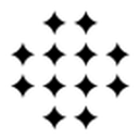星动纪元