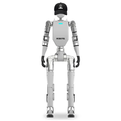 AI Sapiens