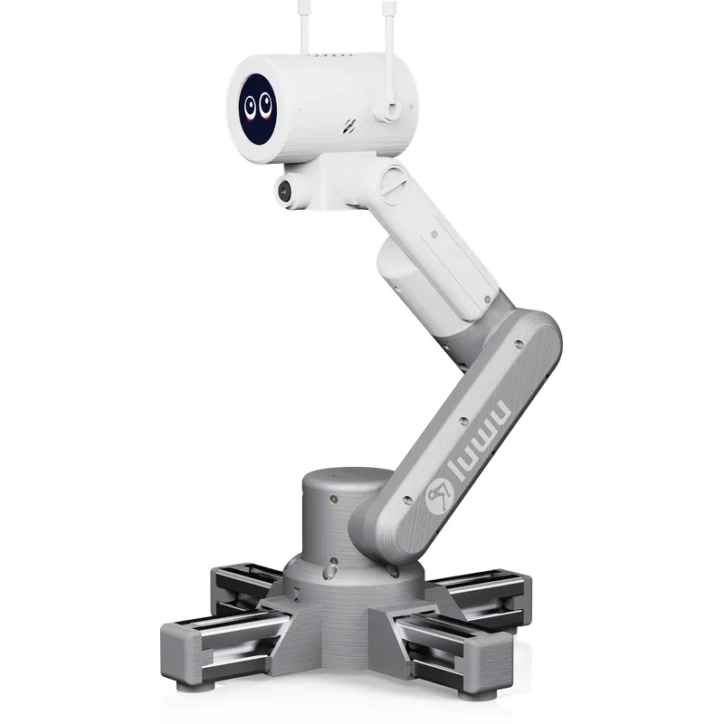 RIG-Arm-卡卡